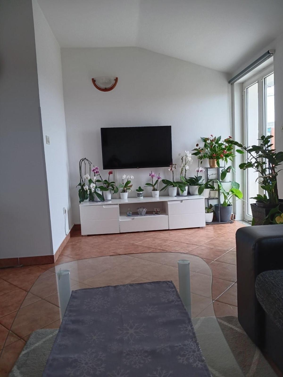 Apartman Sara Rovinj Buitenkant foto