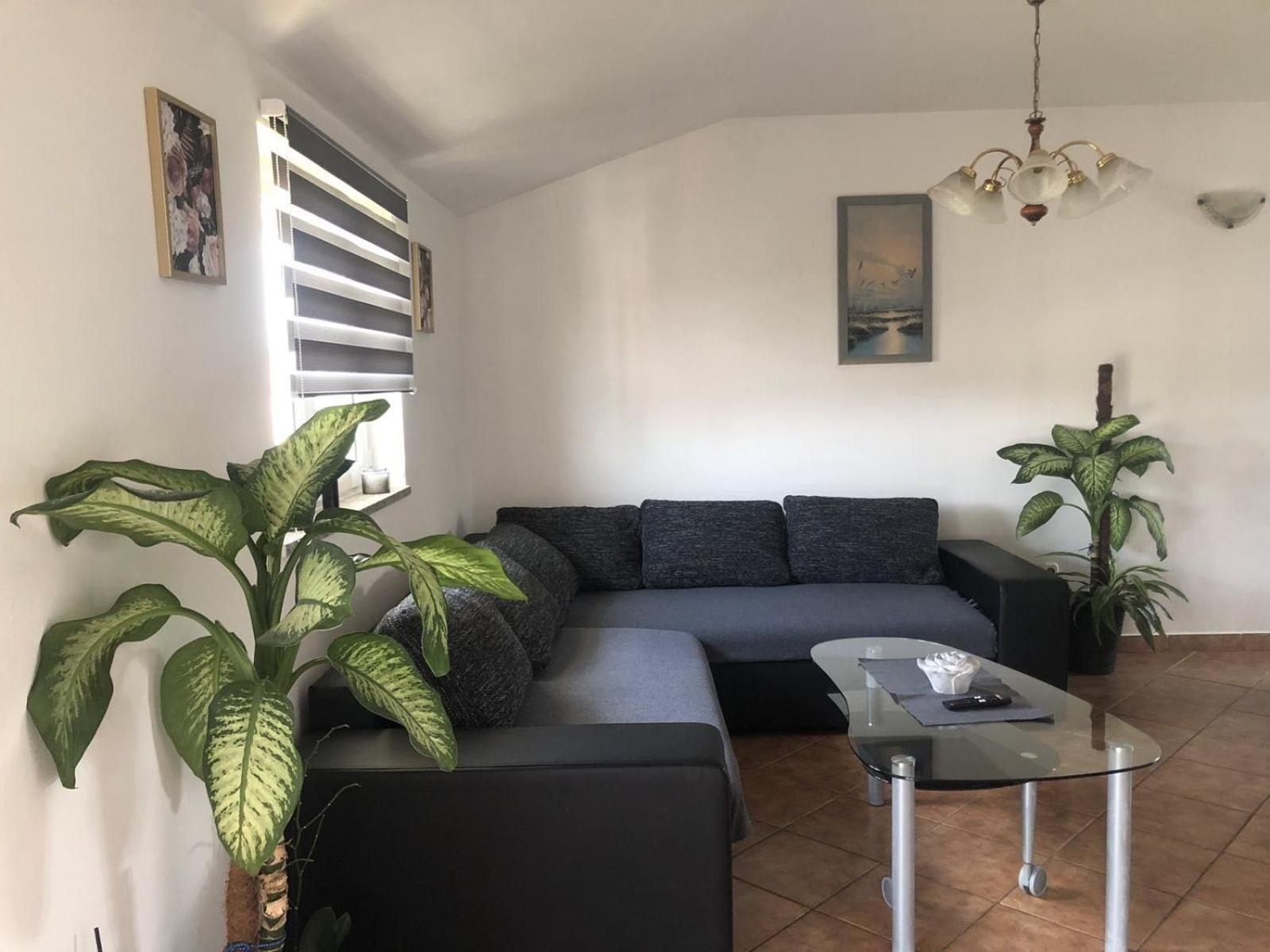 Apartman Sara Rovinj Buitenkant foto